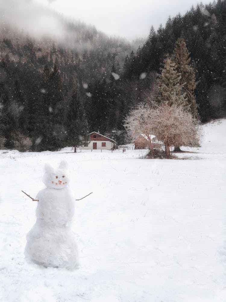 Snowman On Snow Covered Ground