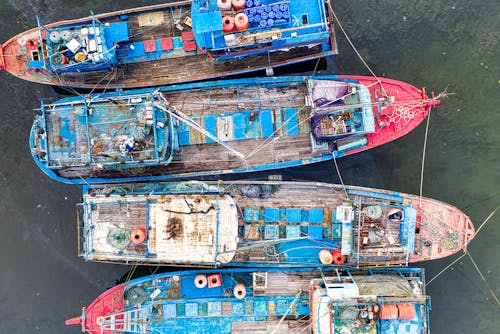 Top View of Fishing Boats on a Sea