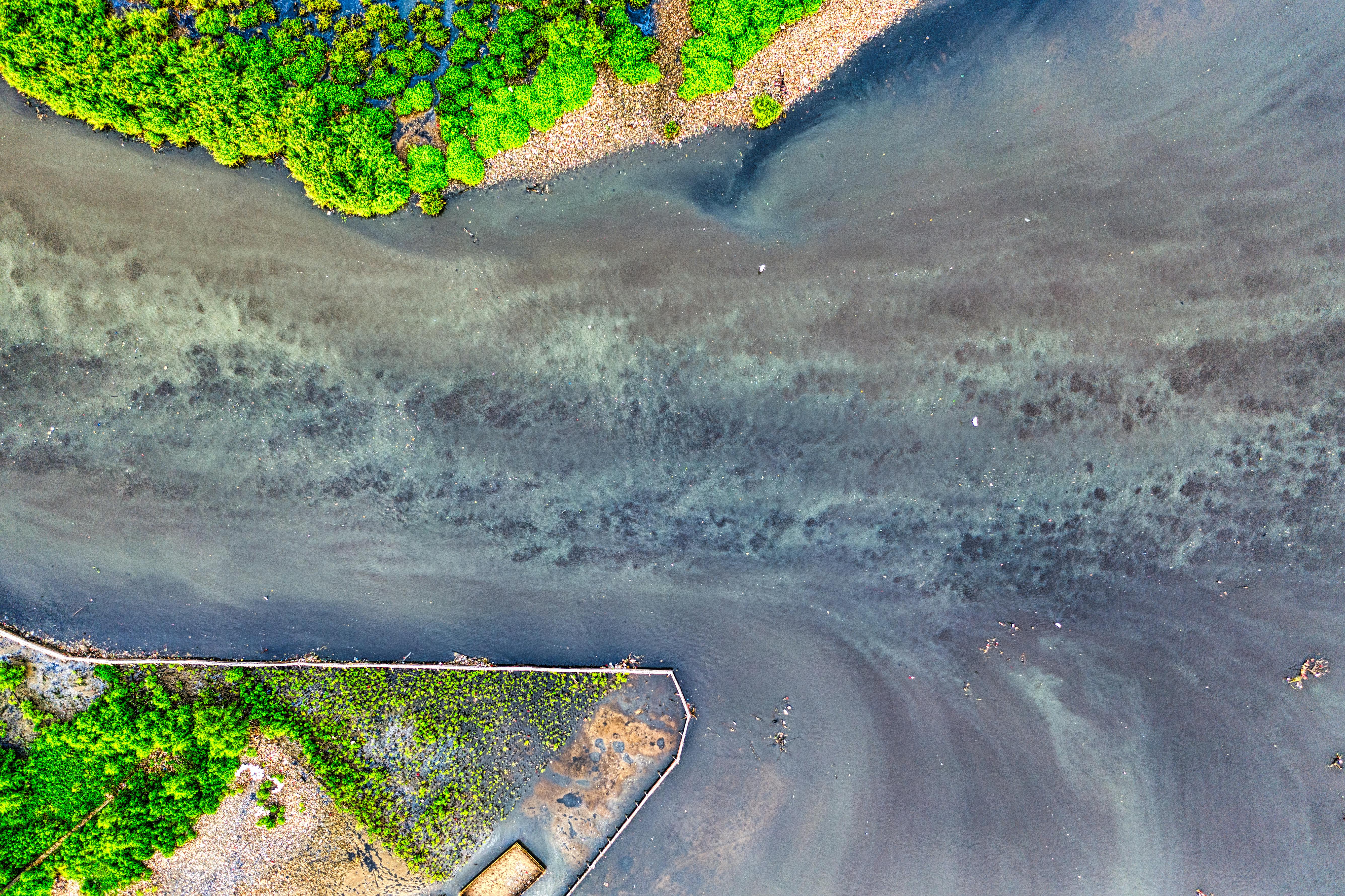 IWA 48: Environmental, Social &amp; Governance (ESG) Principles - American National Standards Institute — Photo by Tom Fisk o