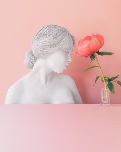 Composition of tender pink flower placed near white female bust against pink background in studio