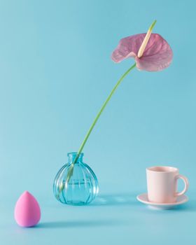 Composition of tender pink anthurium flower in vase placed on blue background near makeup sponge and white cup on saucer