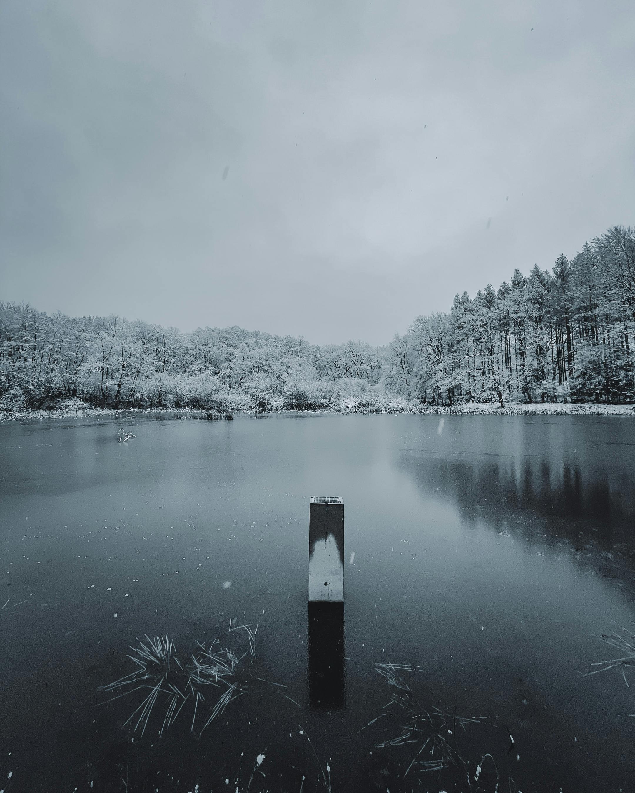 Calm river with frozen water placed among tall trees covered with snow placed in countryside in winter time under cloudy sky