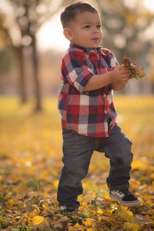 A Child Holding a Bunch of Dried Leaves