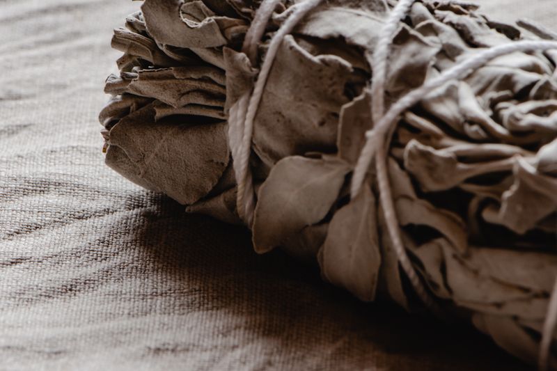 Close-up of a tied white sage smudge bundle on a textured surface