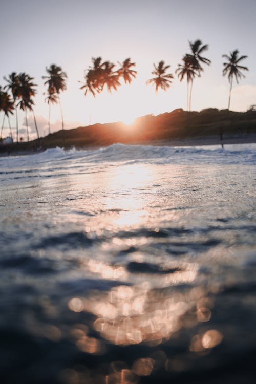 Sunset on a Beach