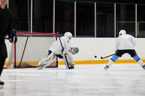 A Hockey Player Protecting It's Goal Post