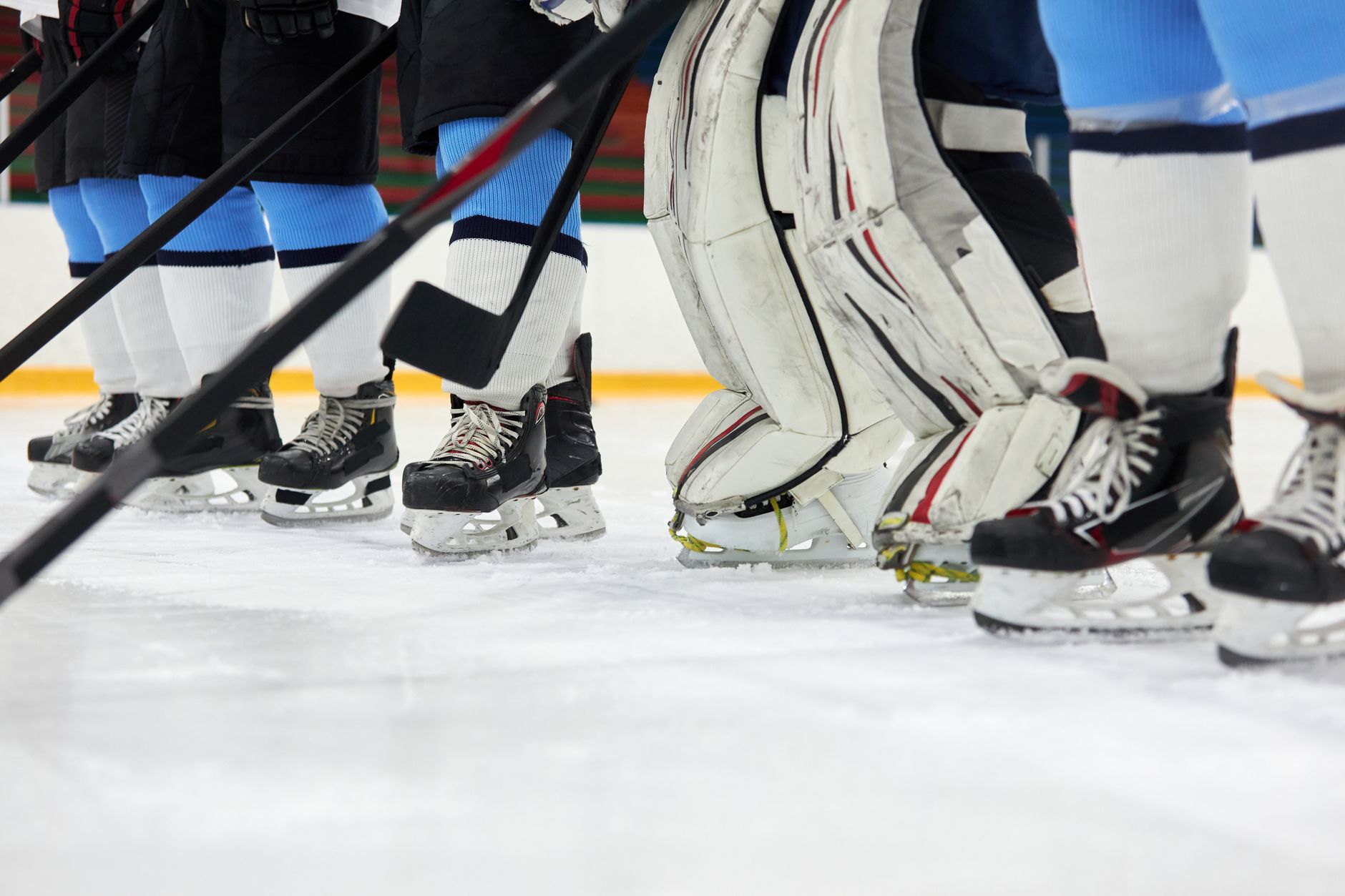 Foegele & Spence Reunion Giving Ottawa Senators a Needed Spark