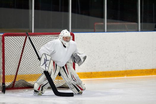 Aerin Frankel Becomes First Goalie to Win PWHL MVP Award