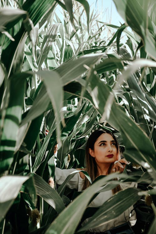 Free Woman in Gray Jacket Standing Beside Green Plant Stock Photo