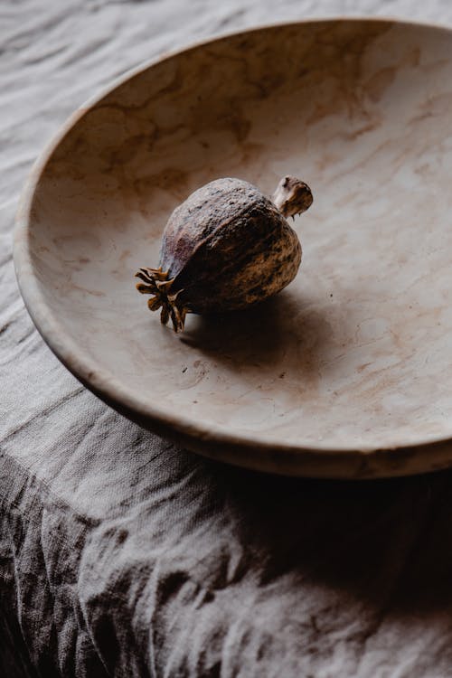 Poppy Seeds Pod on a Plate