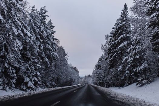 Snow-covered road amid frosty forest in Sweden during winter.