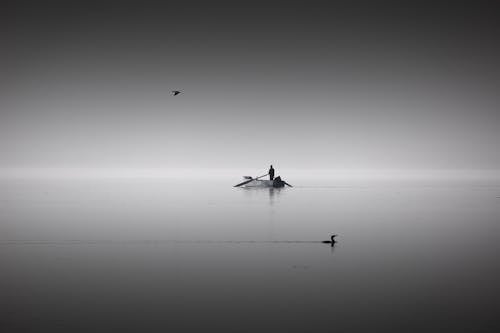 Fotos de stock gratuitas de agua, amanecer, barca