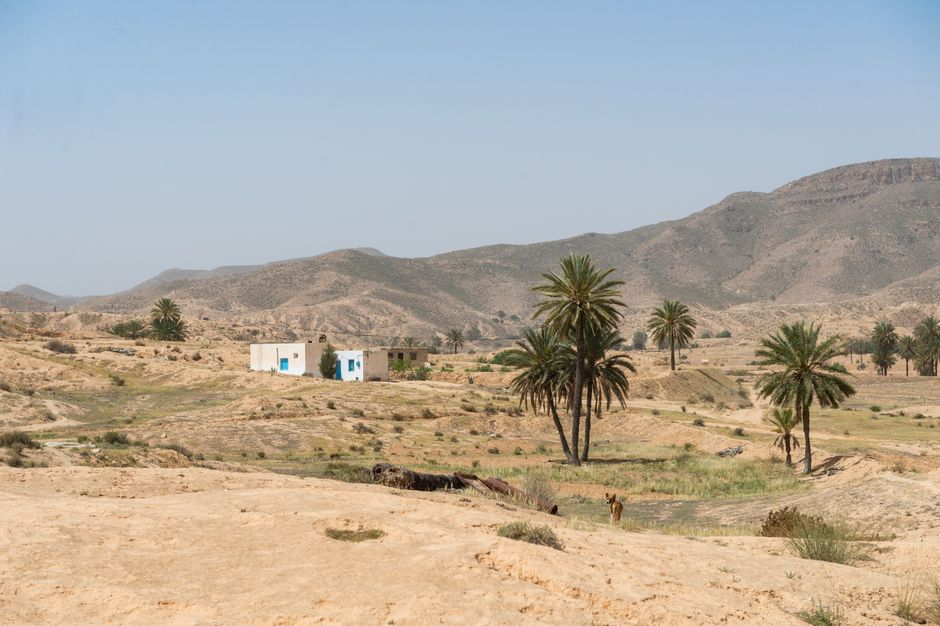 Immigrer en Tunisie sans diplôme : est-ce possible ?