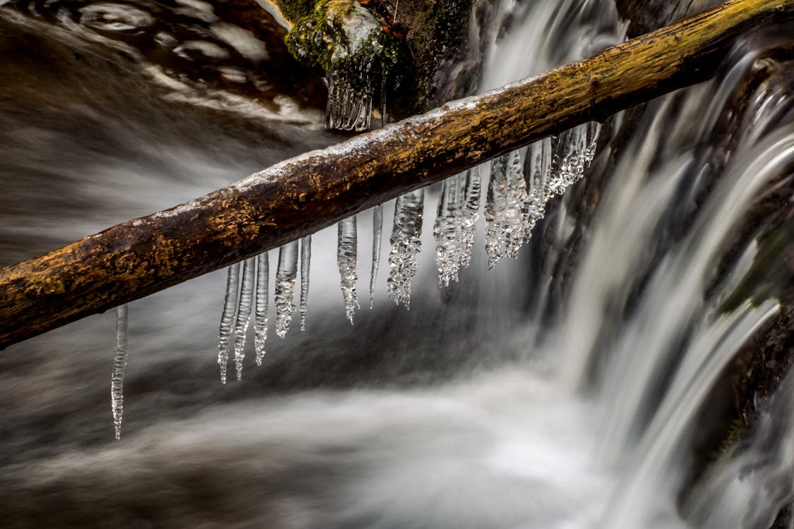 Free Wet stick with icicles before huge waterfall Stock Photo