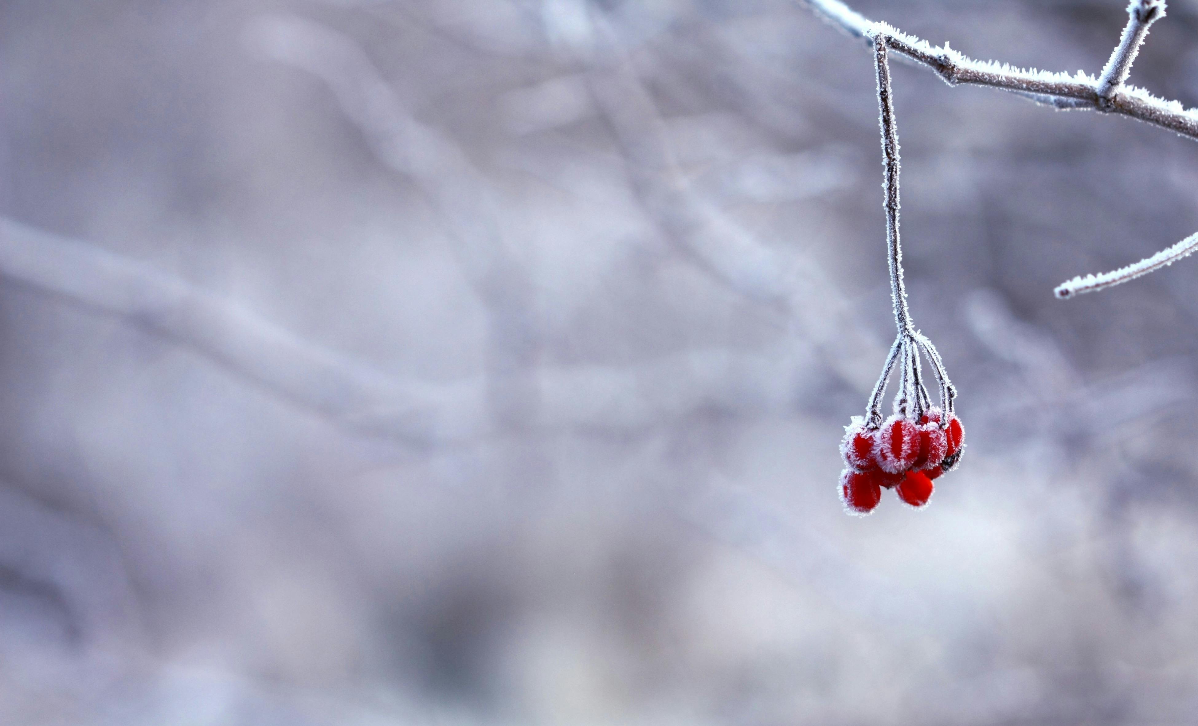 frosty background