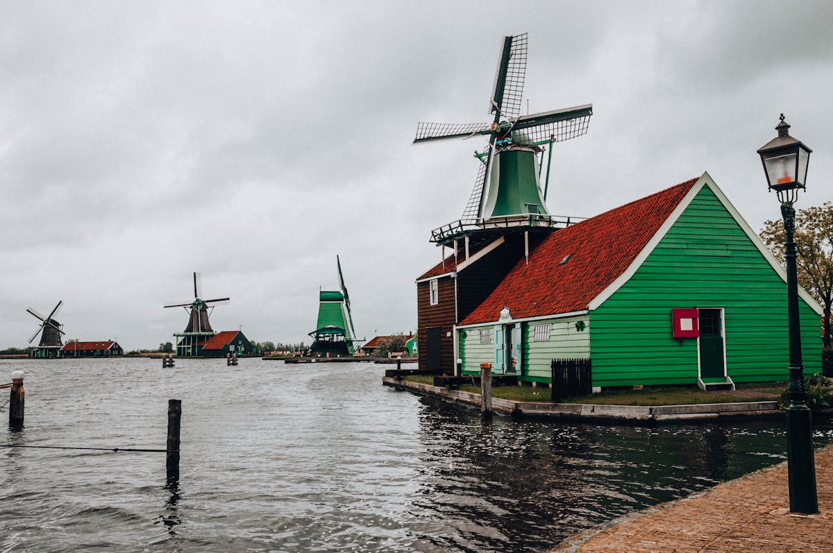 Probiyotikler: Bağırsak Sağlığınız İçin Faydaları, Kaynakları ve Kullanım İpuçları