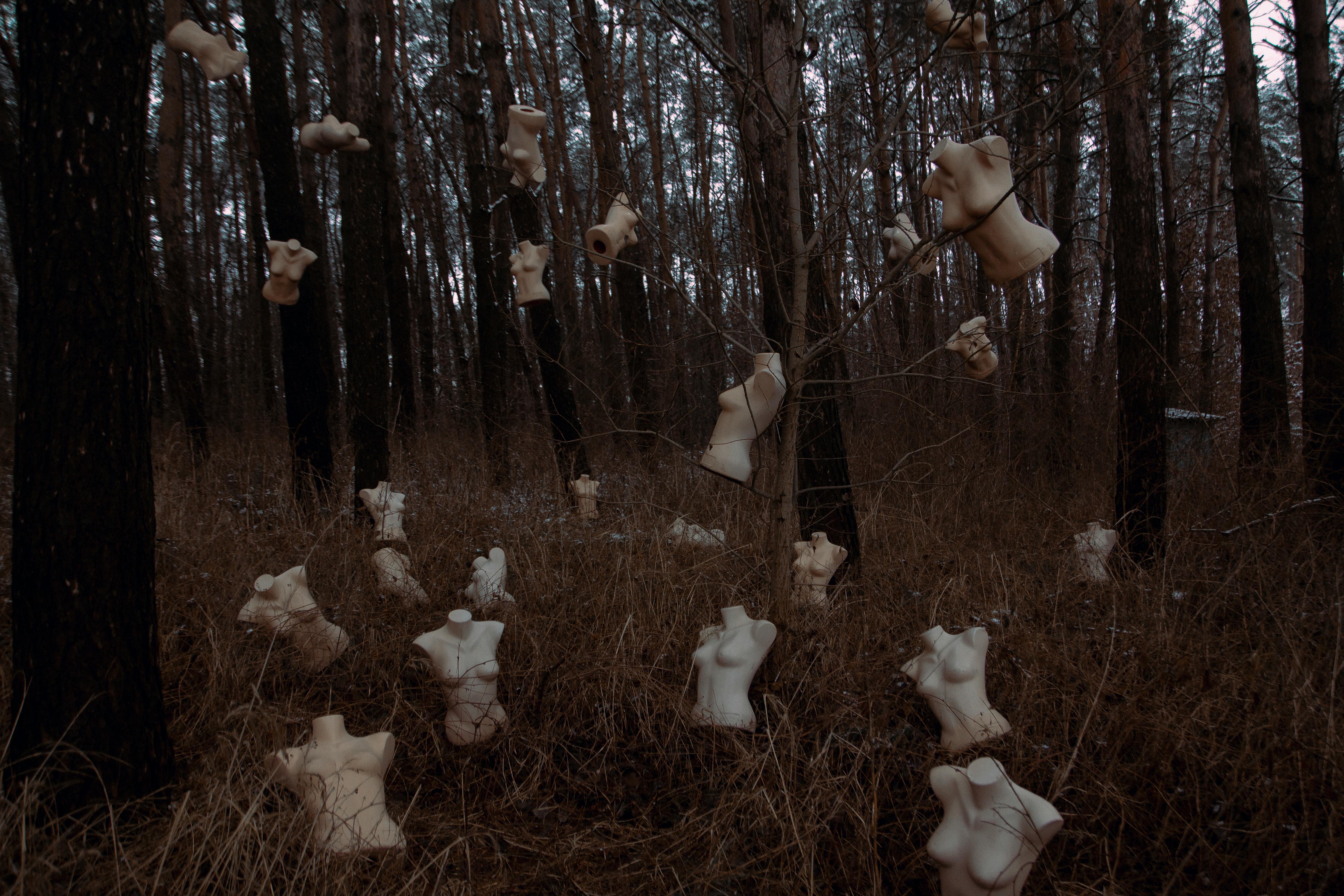  Game yang Mengambil Latar Belakang Hutan Misterius