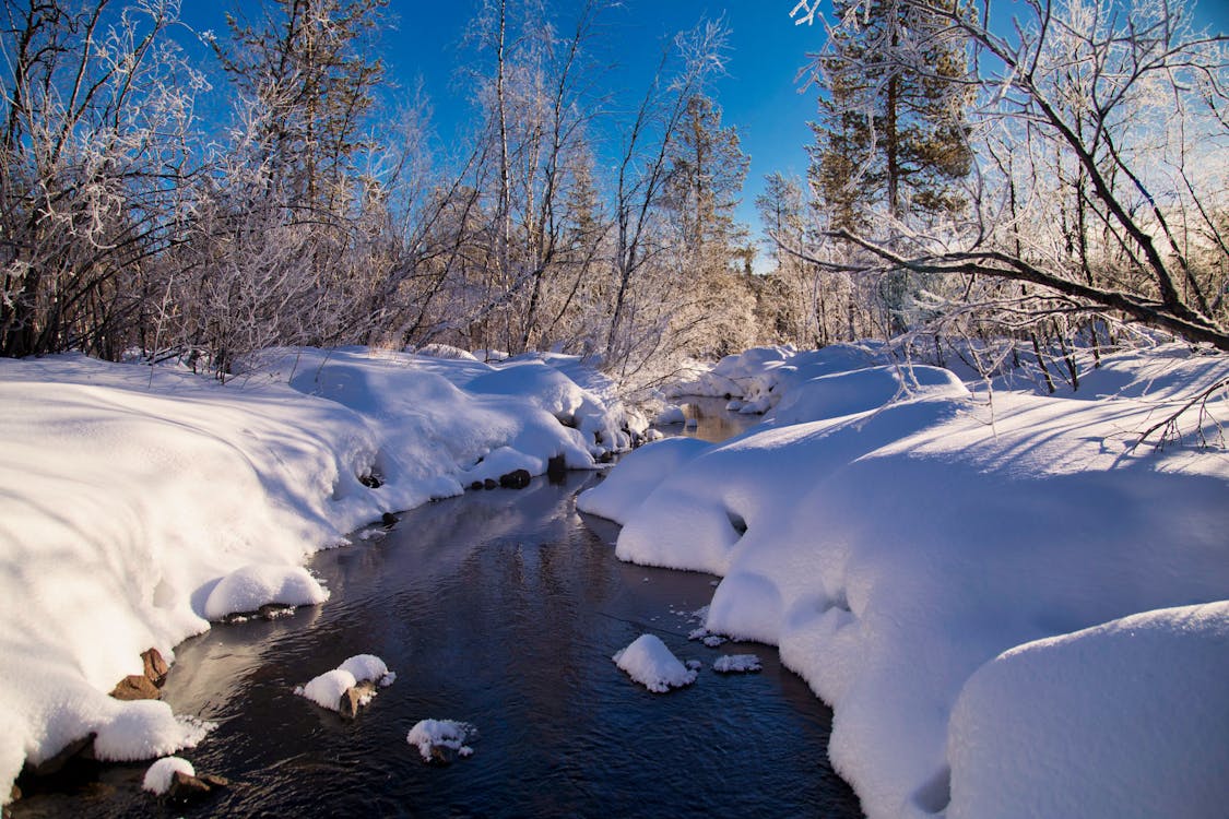 River Between Snow Covered Forest