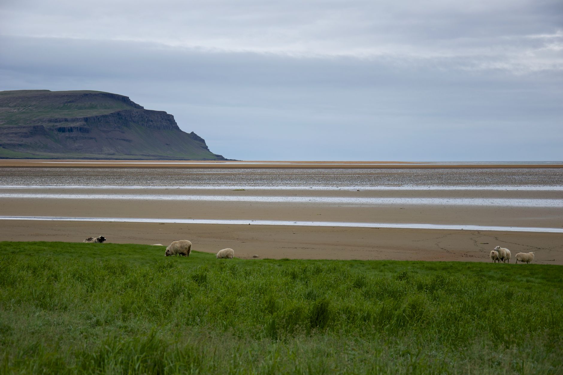 Isafjordur town on a spit surrounded by steep Westfjords mountains