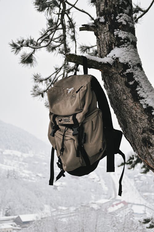 Free Brown Backpack Hanging on a Tree Stock Photo