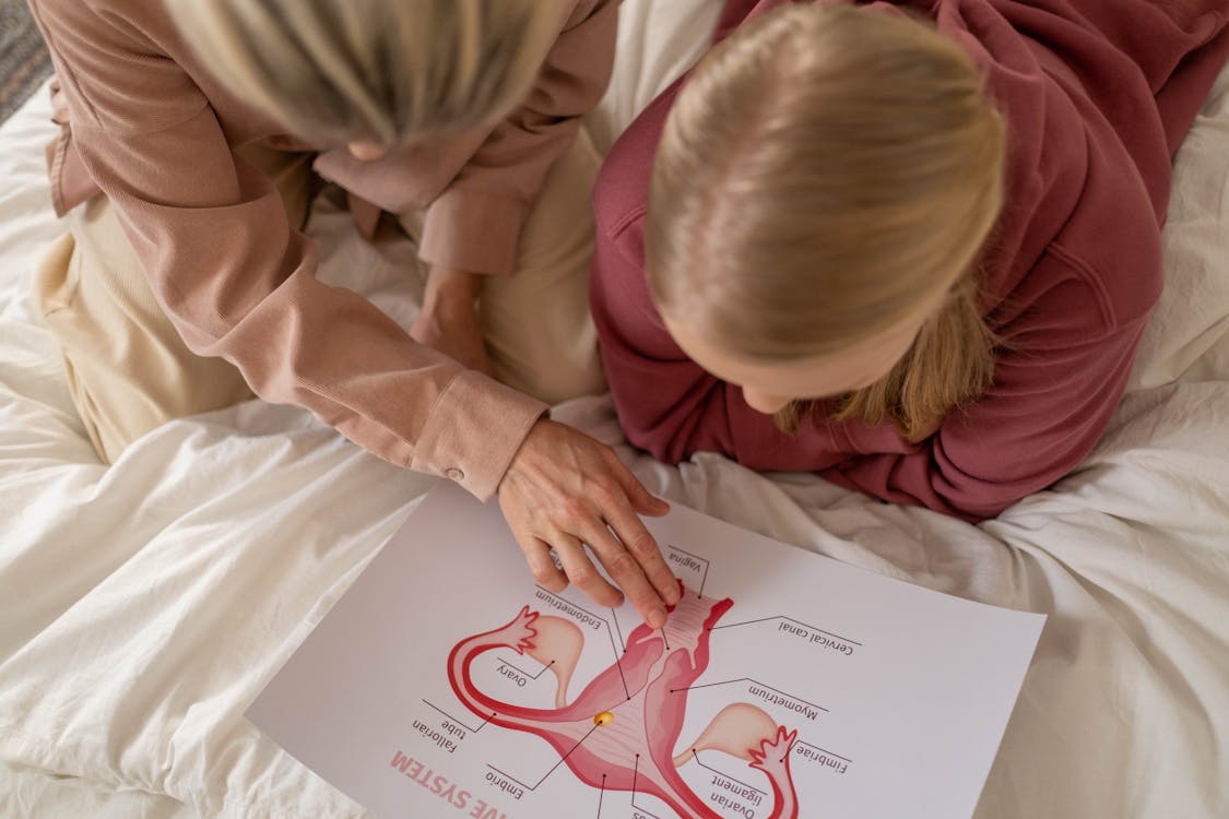 Ibu mengajarkan anak dengan grafik anatomi reproduksi perempuan