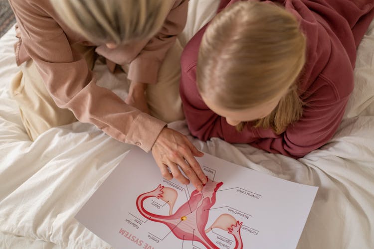 Mother And Daughter Studying On The Bed