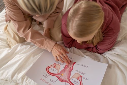 Free Mother and daughter studying reproductive system illustration for sex education at home. Stock Photo