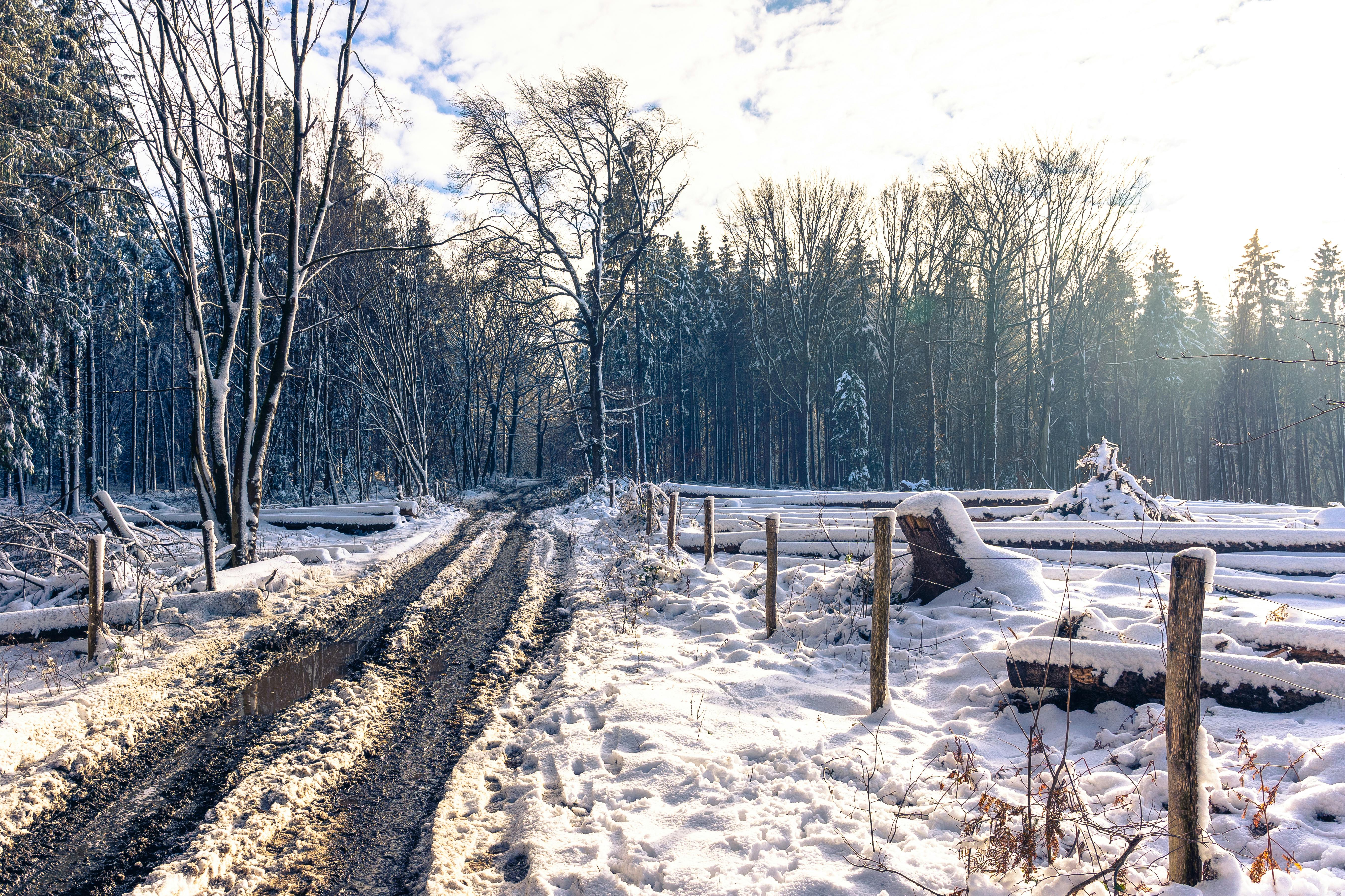 unpaved pathway on snow covered ground