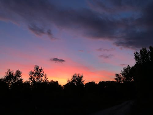 Free stock photo of beautiful sky, beautiful sunset, forest trees