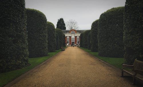 無料 イングランド, ケニングストン宮殿, ヘッジの無料の写真素材 写真素材