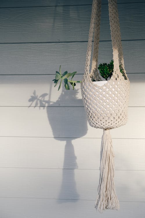 White Macrame Hanging Planter With Green Plant