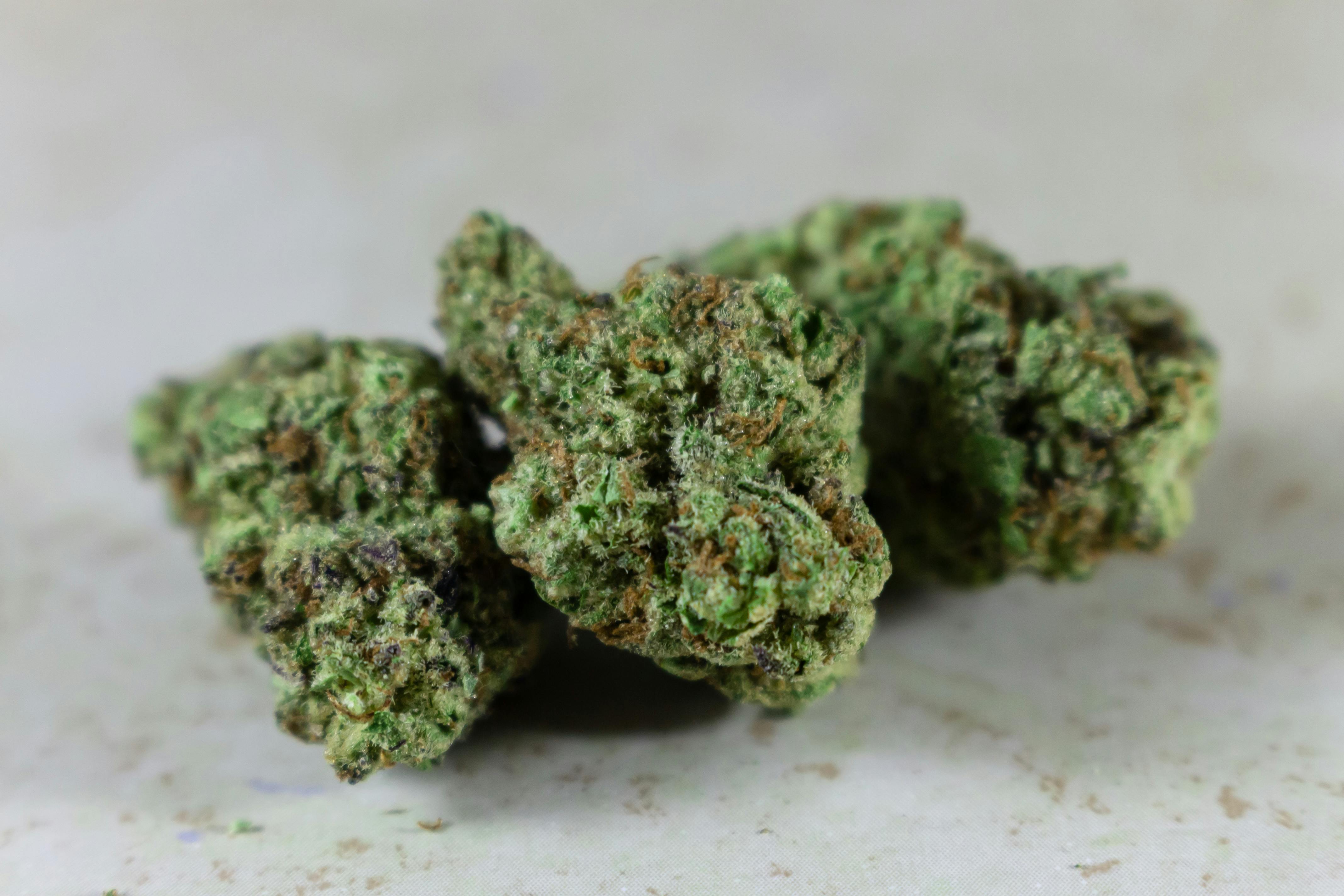 cannabis benefits — Photo by Terrance Barksdale on Pexels