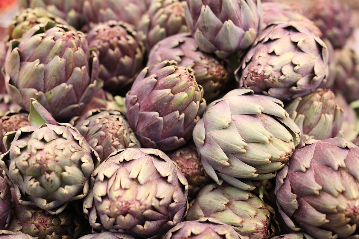 Close-Up Photo of Pile of Artichokes
