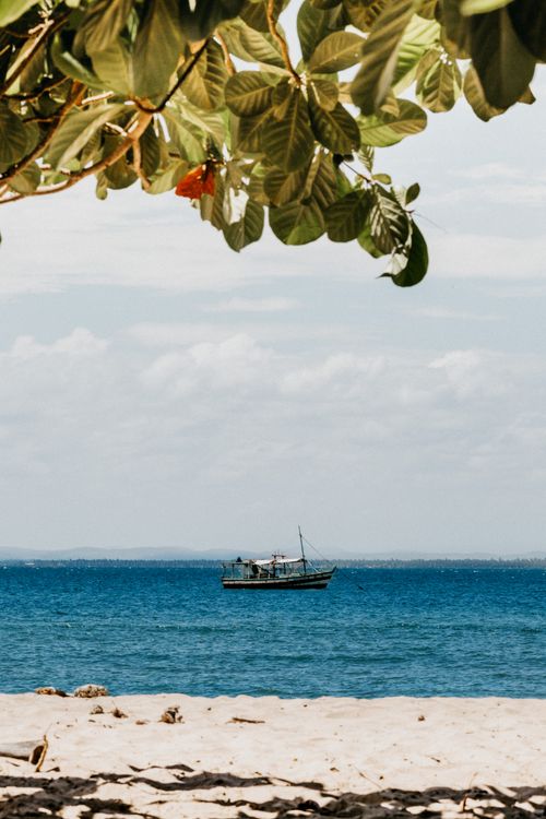 Free Picturesque scenery of boat floating in calm rippling water of sea with sandy coast and plants with green leaves Stock Photo