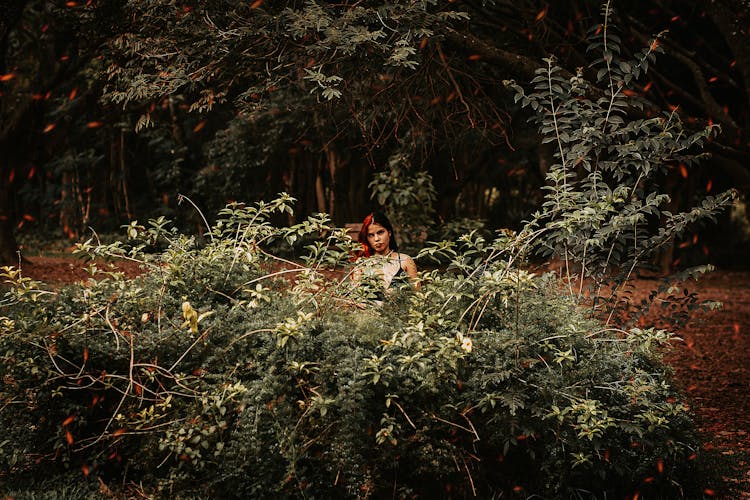 Bushes And Woman With Dyed Red Hair