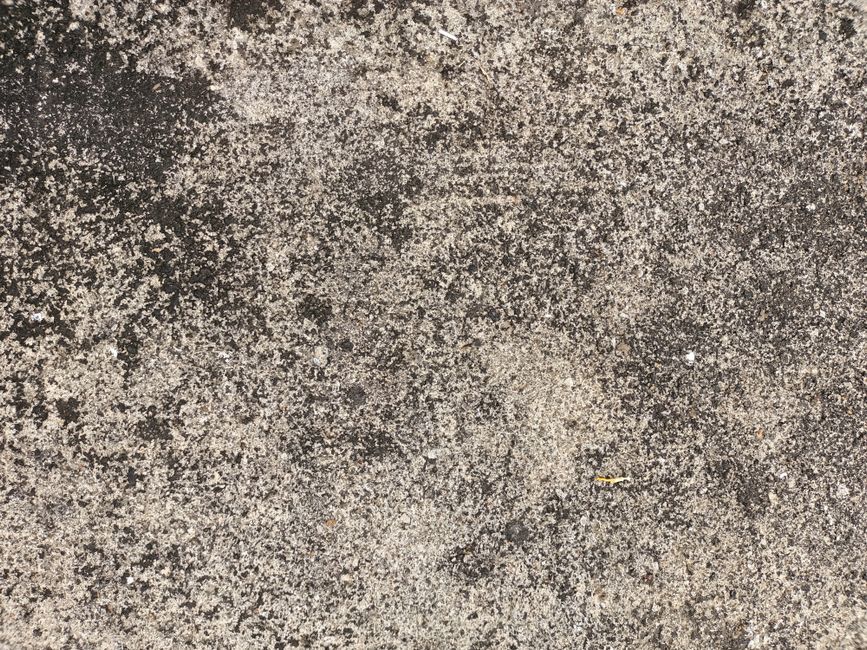 Close-up of a rough concrete texture suitable as a background or texture in design projects.