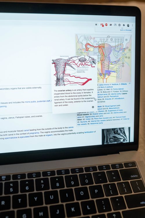 Free Close-up of a laptop screen illustrating anatomical diagrams and research material. Stock Photo