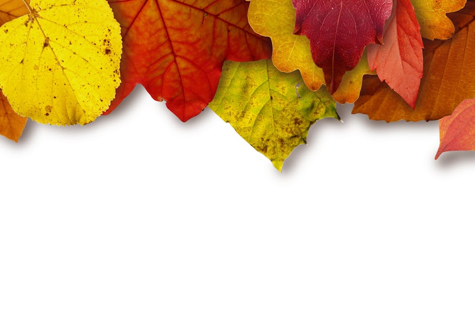 Brown and Green Leaves