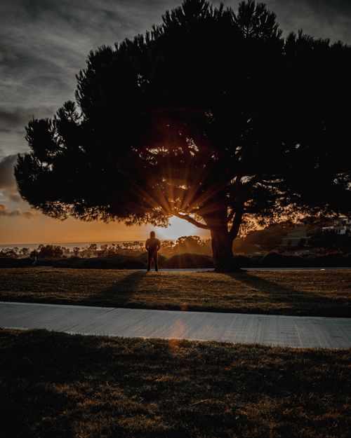 Free Silhouette of a man standing under a tree during golden hour in Dana Point, CA. Stock Photo
