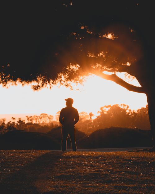 Free Silhouette of a person standing at sunset under a tree in Dana Point, California. Stock Photo
