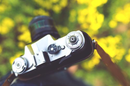 Free Close-up of a vintage camera with vibrant yellow flowers in the background. Stock Photo