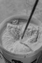 Ice Cream in White Ceramic Bowl