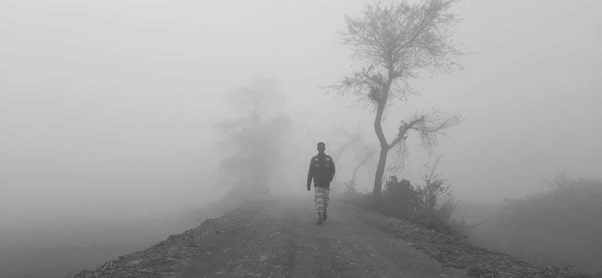 Innhouse PMS Dashboard