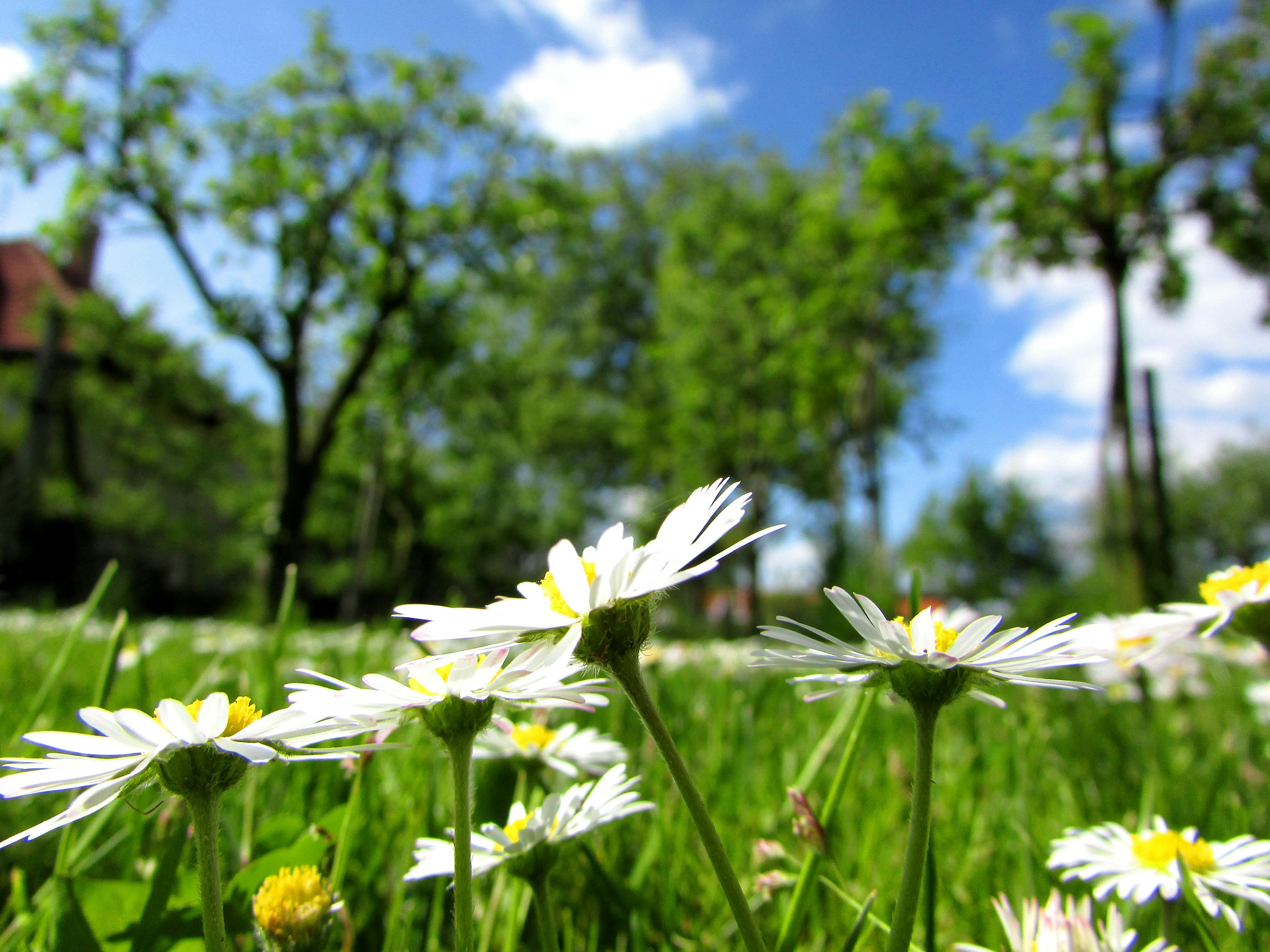 Child in therapy session - playing