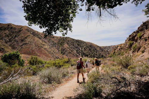 Group of People Hiking