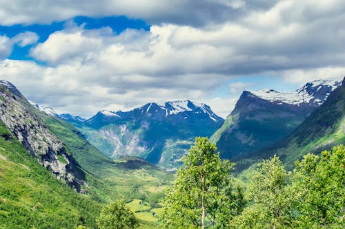 Бесплатное стоковое фото с гора, горный пик, деревья