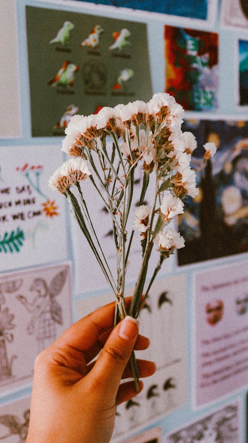 Gratis arkivbilde med blomster, hånd, holde