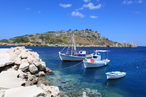 Boats Moored on Coast