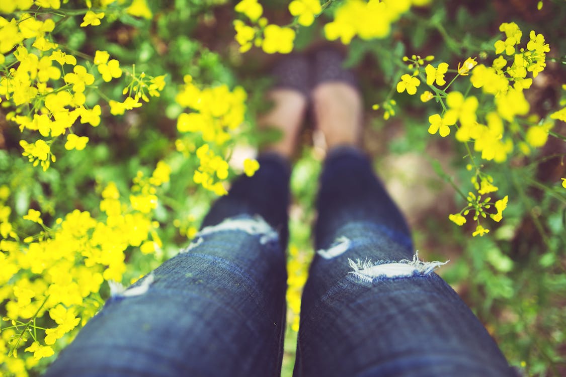 Ücretsiz ayakta, bacaklar, Çiçekler içeren Ücretsiz stok fotoğraf Stok Fotoğraflar