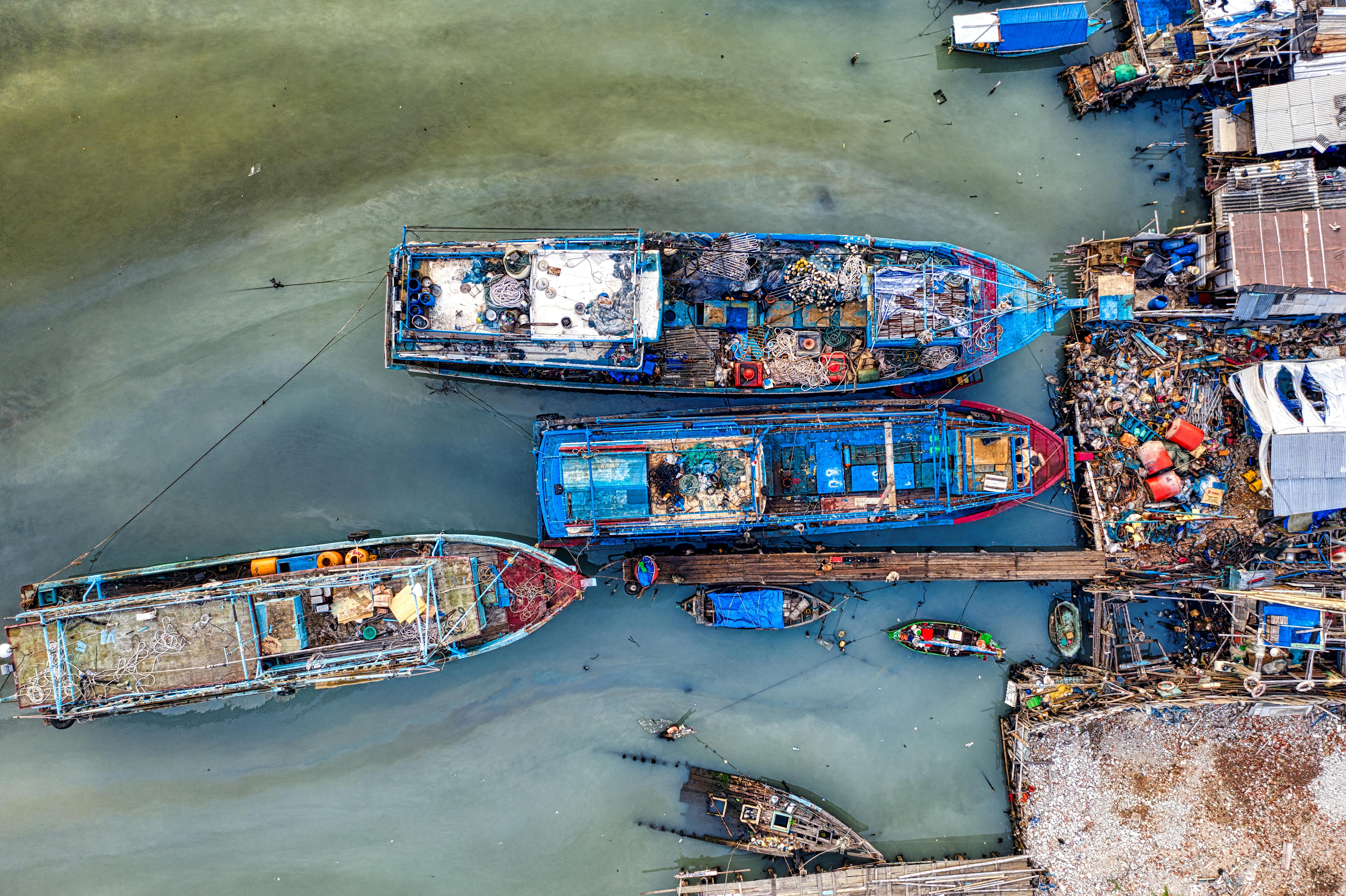 bactérie mangeuse polluants éternels